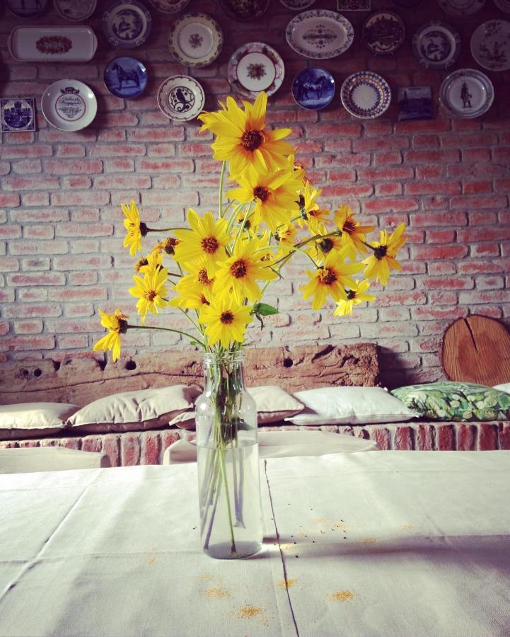 Agriturismo Agronauta Villa Piozzano Dış mekan fotoğraf