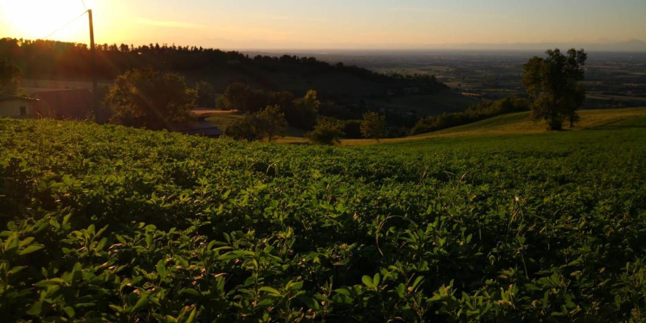 Agriturismo Agronauta Villa Piozzano Dış mekan fotoğraf