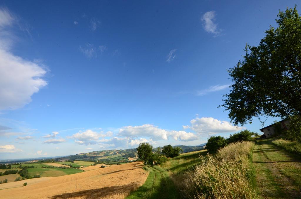 Agriturismo Agronauta Villa Piozzano Dış mekan fotoğraf