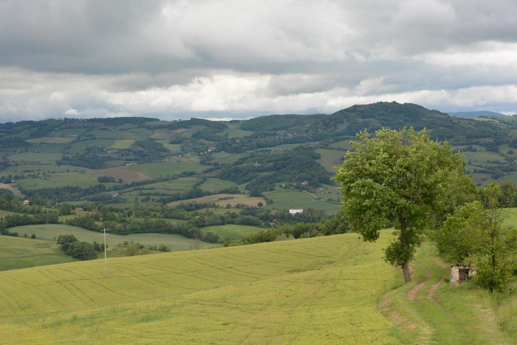 Agriturismo Agronauta Villa Piozzano Dış mekan fotoğraf