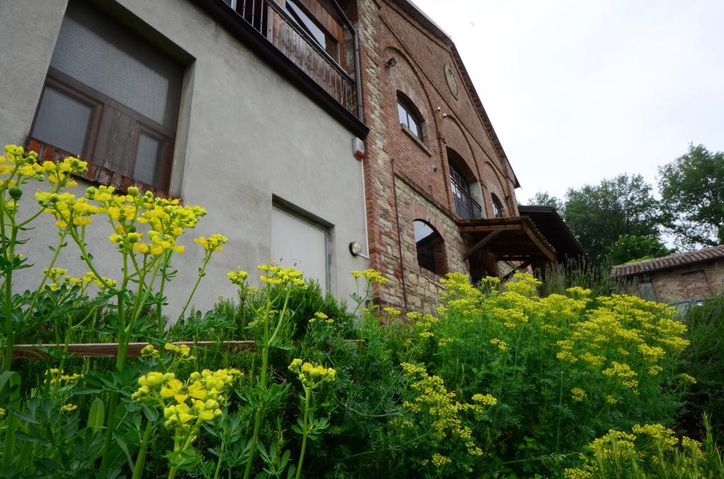 Agriturismo Agronauta Villa Piozzano Dış mekan fotoğraf